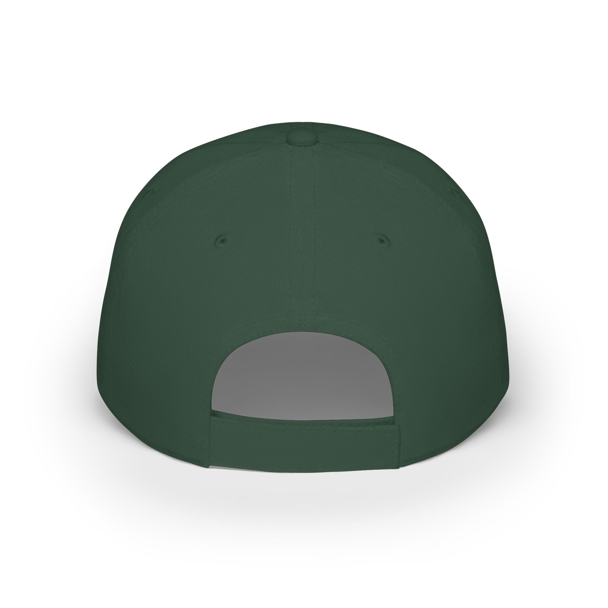 Bearded Dragon Baseball Cap